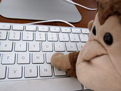 monkey typing at keyboard